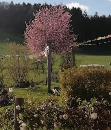 Apartmán Rotes Haus *