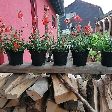 Rotes Haus * Pielenhofen