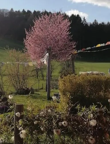Lejlighed Rotes Haus *