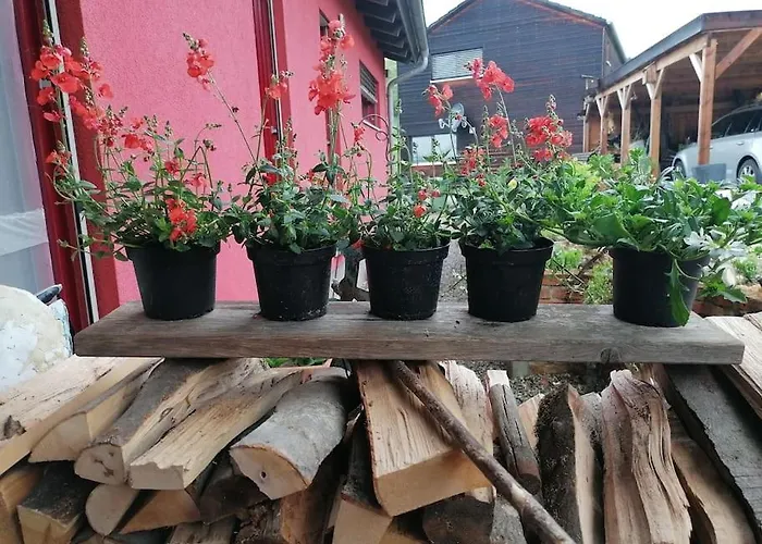 Rotes Haus * Pielenhofen